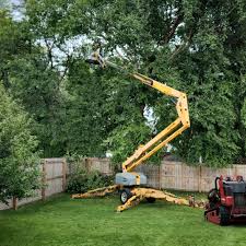 Best Firewood Processing and Delivery  in Trucksville, PA