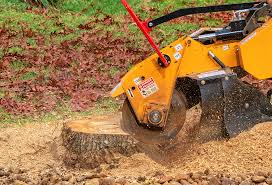 Best Tree Mulching  in Trucksville, PA